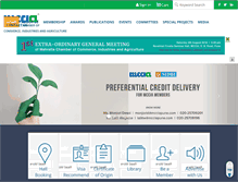 Tablet Screenshot of mcciapune.com